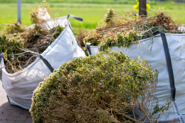 Best Yard Waste Removal  in Denton, NC